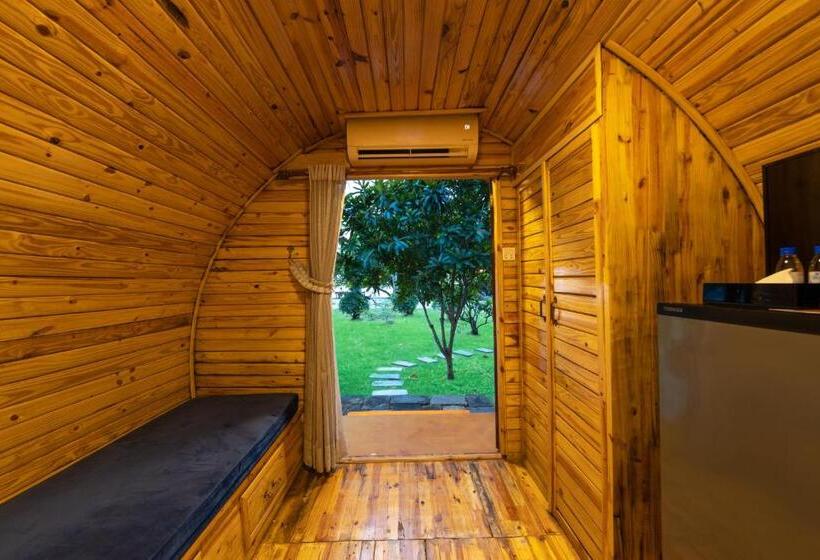 Номер Стандарт, Mafiya Resort