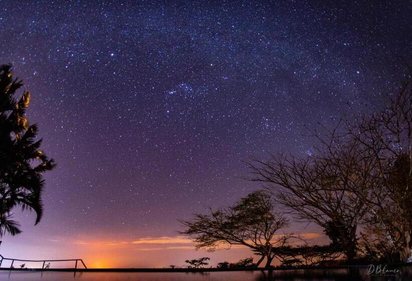 Апартаменты 1 Спальня Вид на Бассейн, Domos Mirador Romantic Private Honeymoon Glamping