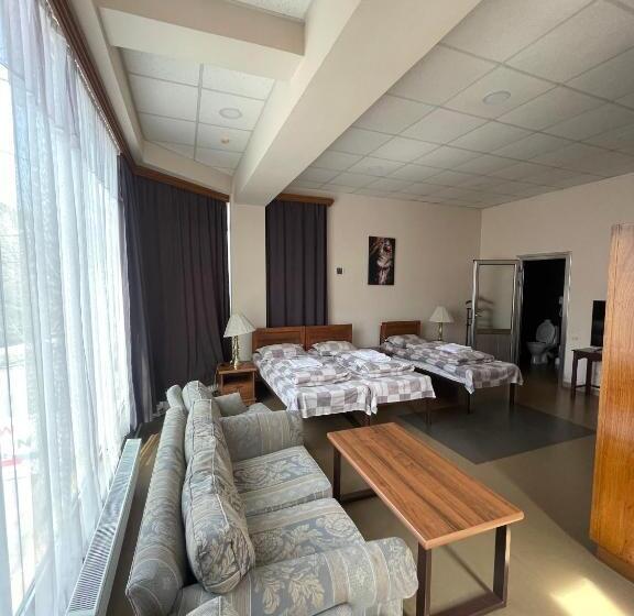 اتاق لوکس سه تخته, Downtown B&b