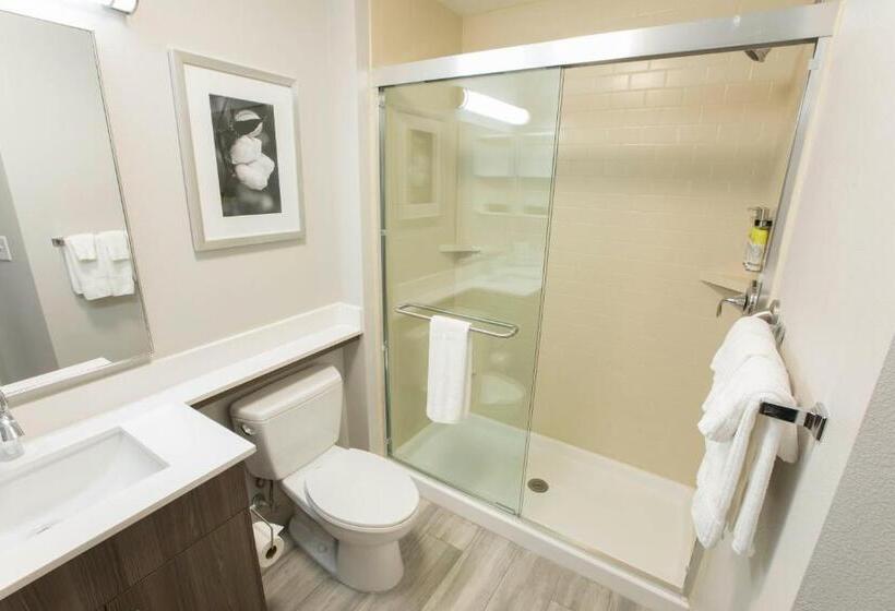 スタンダードスタジオ, Candlewood Suites Mcdonough, An Ihg