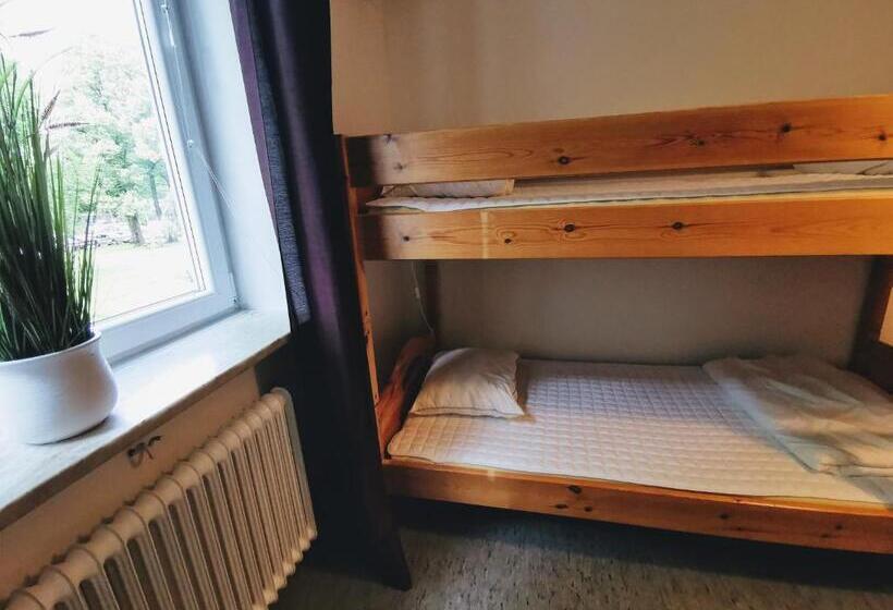 Номер Стандарт Четырехместный Совместный Санузел, Falköpings Vandrarhem/hostel