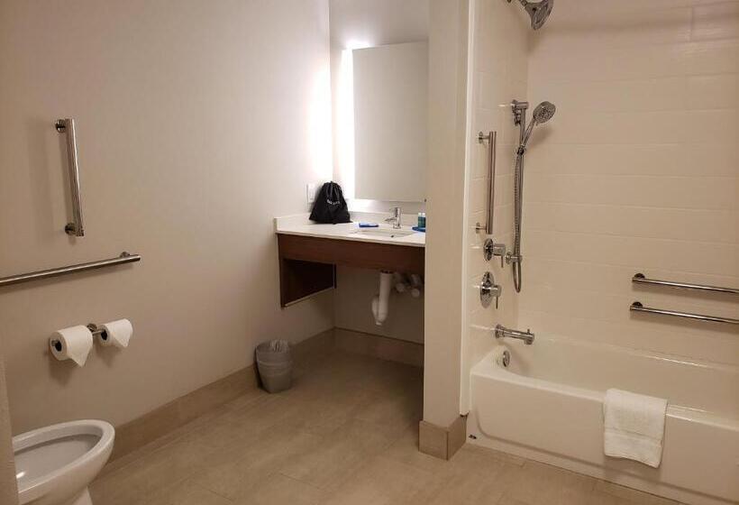 Номер Стандарт Адаптированный для Инвалидов, Holiday Inn Express   Macon North, An Ihg