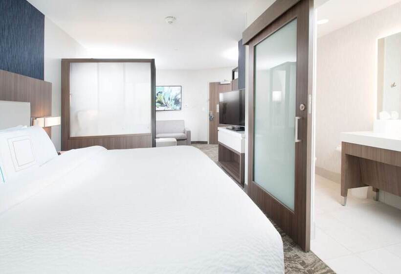 Люкс, Springhill Suites By Marriott Fayetteville Fort Liberty