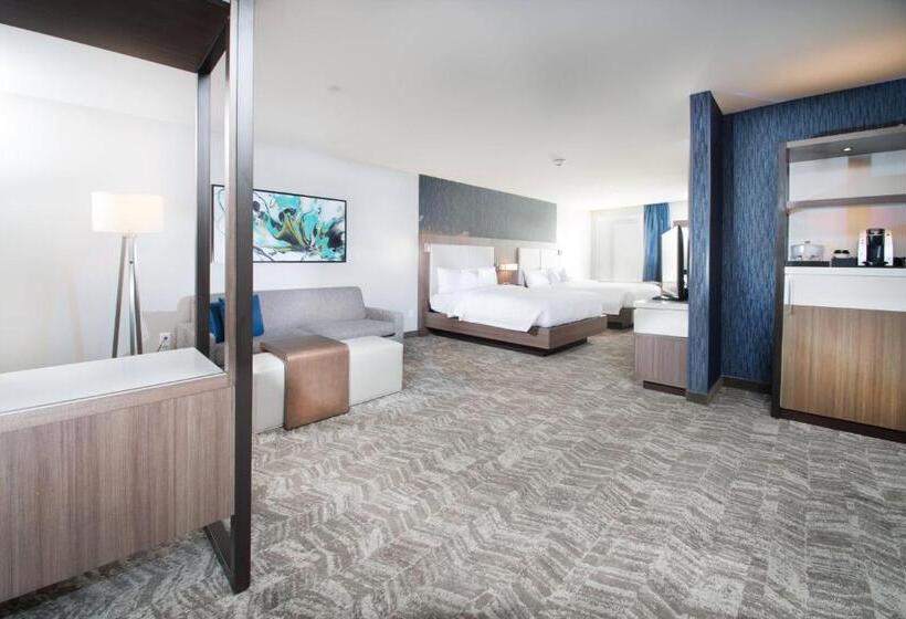 Люкс, Springhill Suites By Marriott Fayetteville Fort Liberty