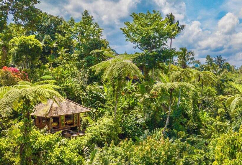 이코노미 룸, Sarinbuana Eco Lodge