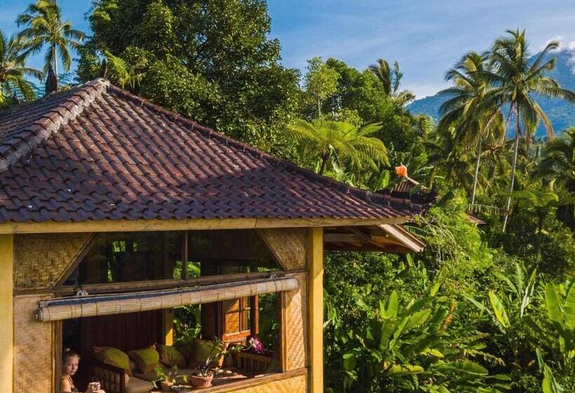Семейный Номер Deluxe, Sarinbuana Eco Lodge