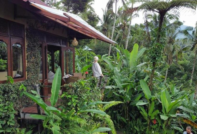 Вилла 1 Спальня Вид на Сад, Sarinbuana Eco Lodge