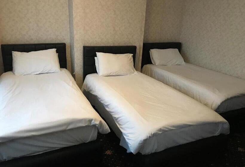 Номер Стандарт Трехместный, Airport Guest House