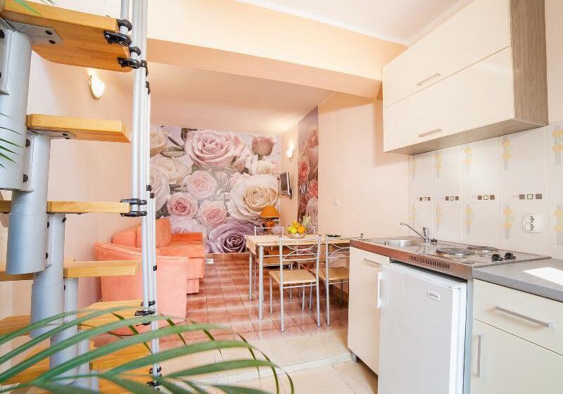 آپارتمان دوبلکس 1 خوابه, Apartments Raymond