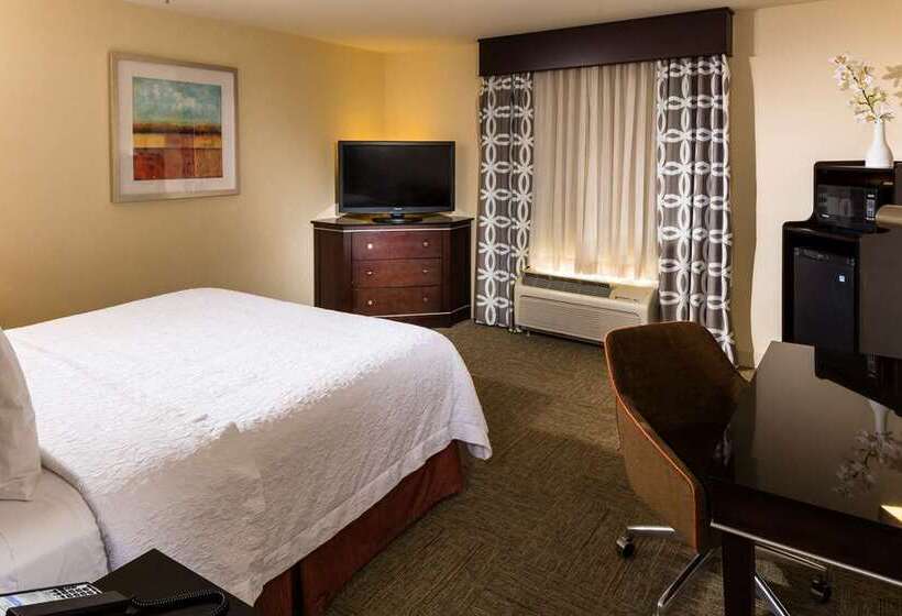 带大床的套房, Hampton Inn & Suites Reno/sparks