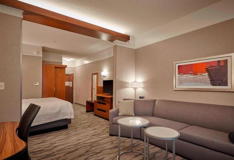 이그제큐티브 스위트, Fairfield Inn & Suites By Marriott Grand Mound Centralia