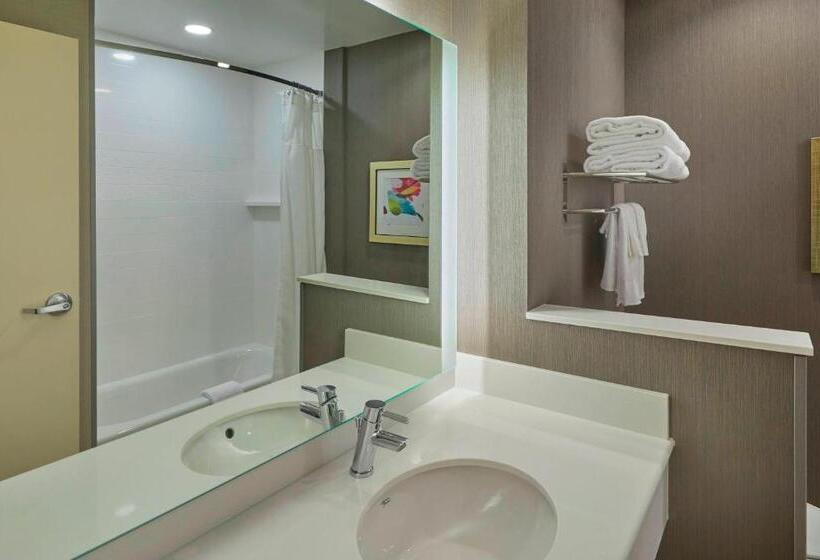 스탠다드 룸, Fairfield Inn & Suites By Marriott Grand Mound Centralia