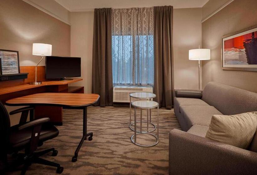 전망 스위트, Fairfield Inn & Suites By Marriott Grand Mound Centralia