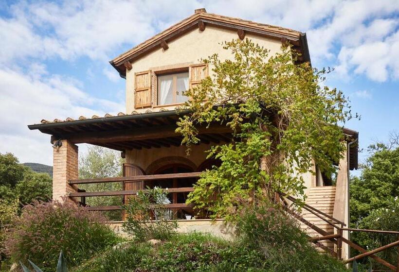 Апартаменты 1 Спальня с Террасой, Agriturismo Boschi Di Montecalvi