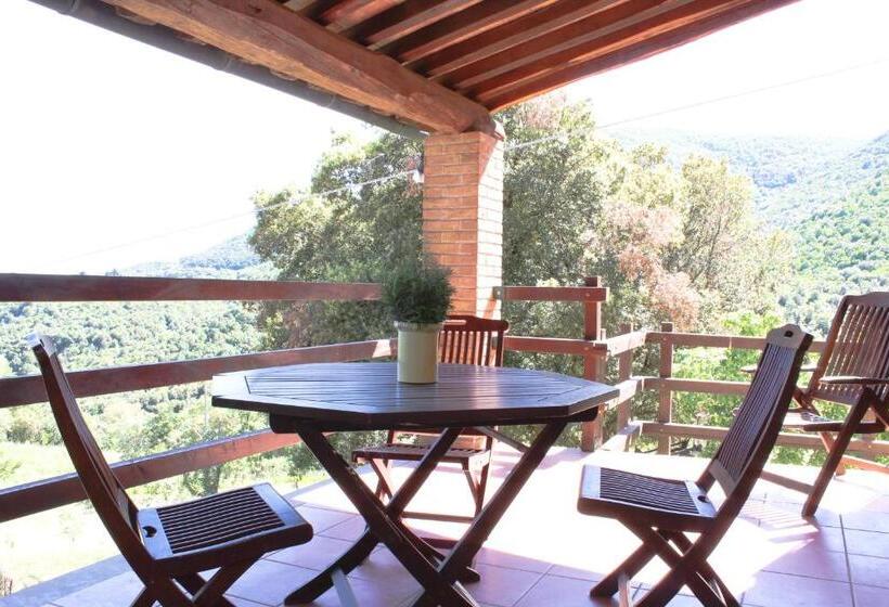 Апартаменты 1 Спальня с Террасой, Agriturismo Boschi Di Montecalvi