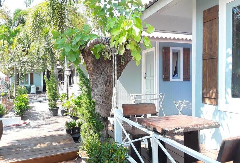 בקתה דלוקס, Barbados Terrace