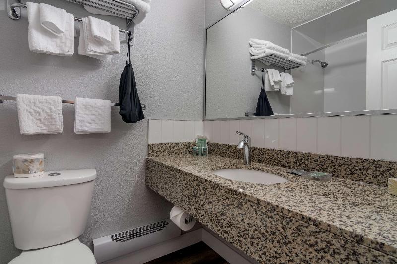 Quarto Estandar Cama King, Tru By Hilton Roanoke Hollins