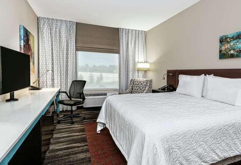 스탠다드 룸 킹사이즈 침대, Hilton Garden Inn Tampa Wesley Chapel, Fl