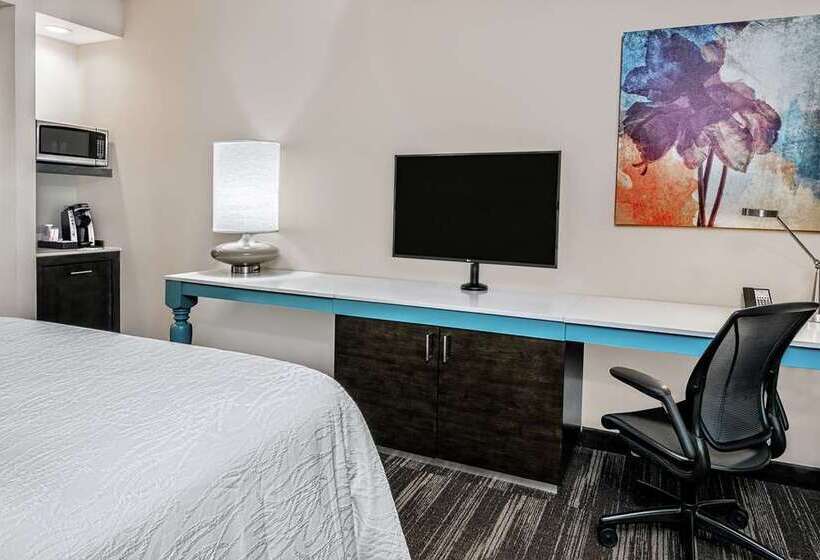 Стандартный Номер Кровать Кинг, Hilton Garden Inn Tampa Wesley Chapel, Fl