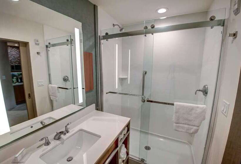 스탠다드 룸 킹사이즈 침대, Hilton Garden Inn Tampa Wesley Chapel, Fl