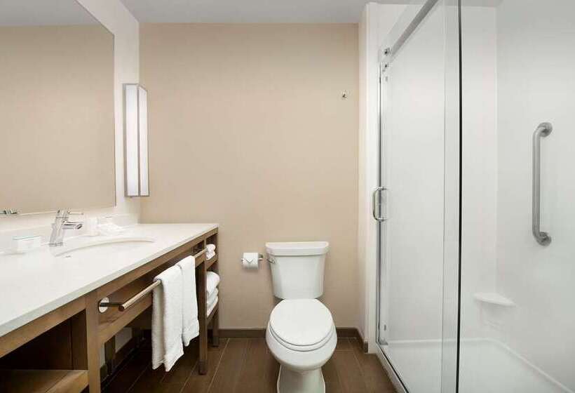 프리미엄 룸, Hilton Garden Inn Tampa Wesley Chapel, Fl