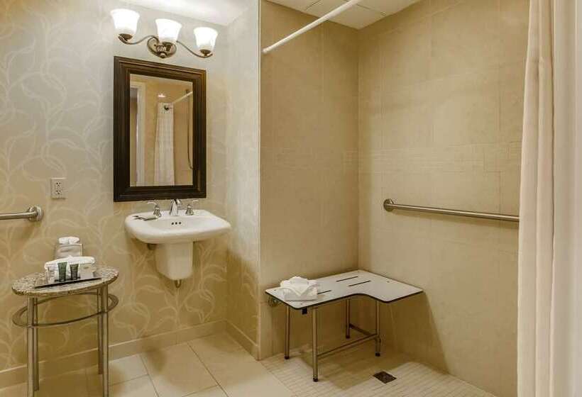 Номер Deluxe, Hilton Garden Inn Tampa Wesley Chapel, Fl