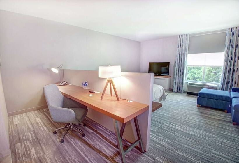 프리미엄 룸, Hilton Garden Inn Tampa Wesley Chapel, Fl