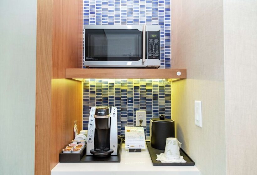 Номер Deluxe, Hilton Garden Inn Tampa Wesley Chapel, Fl