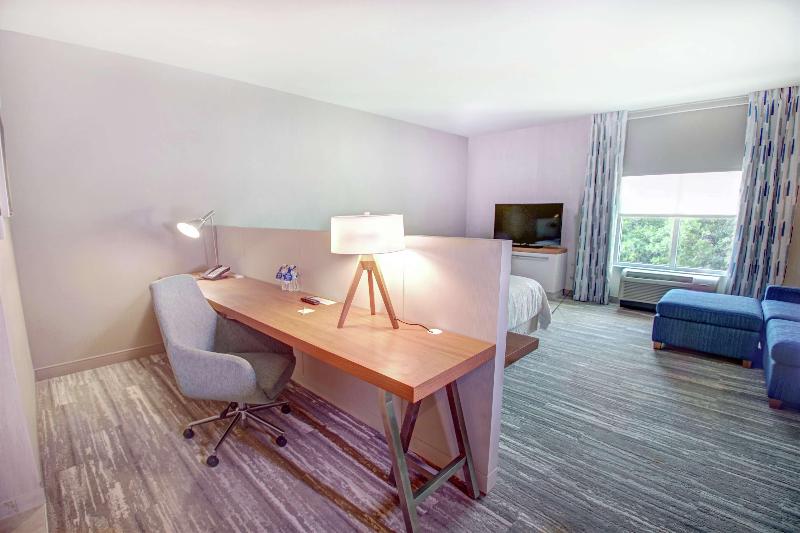 Номер Премиум, Hilton Garden Inn Tampa Wesley Chapel, Fl