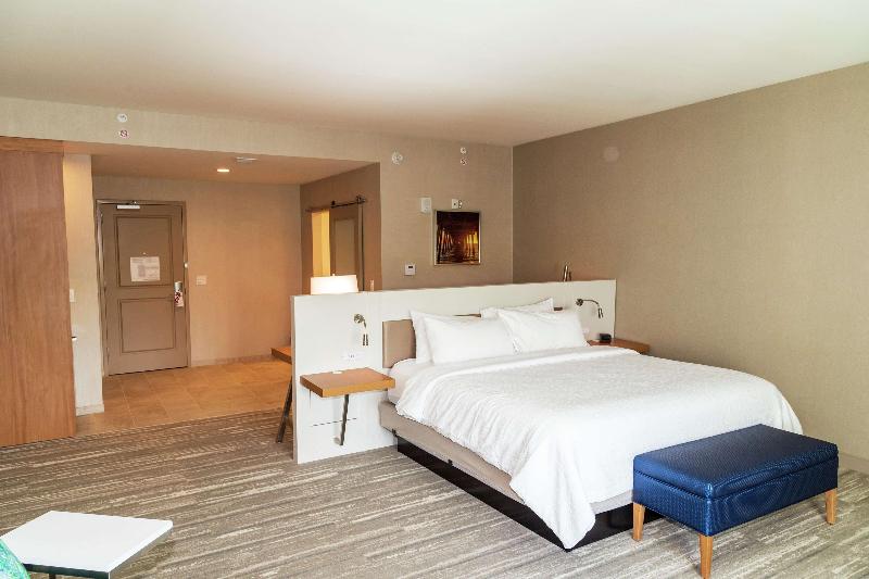 프리미엄 룸, Hilton Garden Inn Tampa Wesley Chapel, Fl