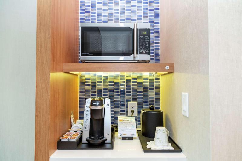 스탠다드 룸 킹사이즈 침대, Hilton Garden Inn Tampa Wesley Chapel, Fl