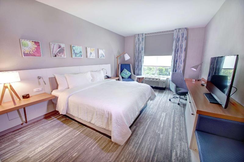 Стандартный Номер Кровать Кинг, Hilton Garden Inn Tampa Wesley Chapel, Fl
