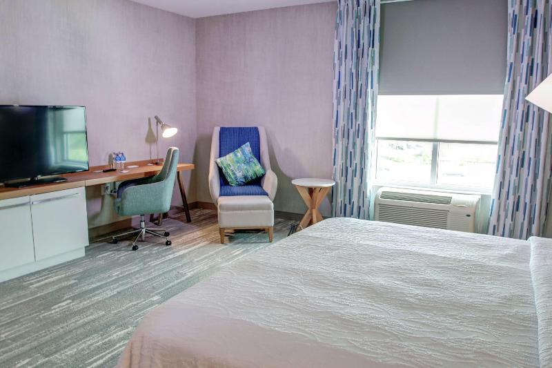 스탠다드 룸 킹사이즈 침대, Hilton Garden Inn Tampa Wesley Chapel, Fl