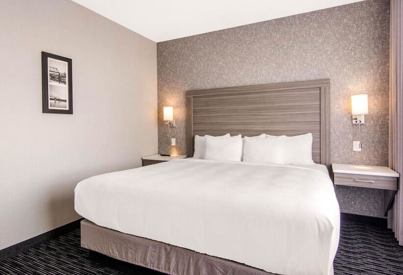 家庭套房, Comfort Inn & Suites