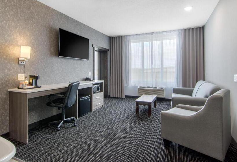 高级套房, Comfort Inn & Suites