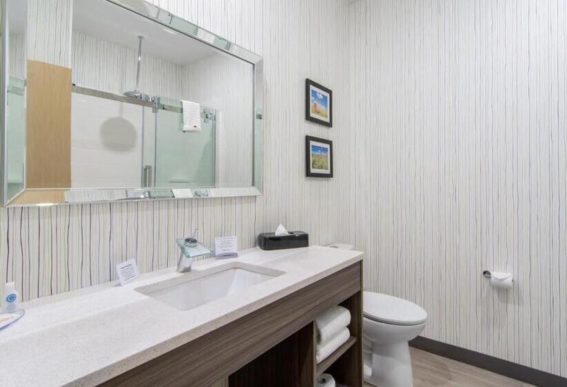 高级套房, Comfort Inn & Suites