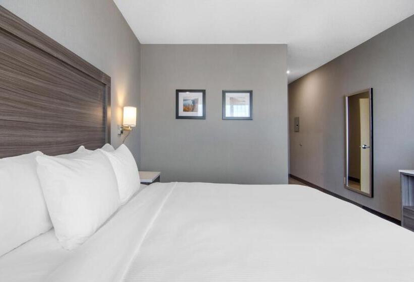 适合残疾人士使用的带超级大床的标准间, Comfort Inn & Suites