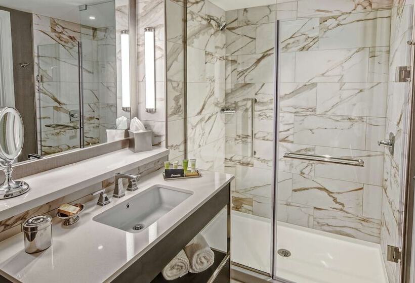Quarto Estandar para Deficientes Físicos, Hilton Nashville Green Hills