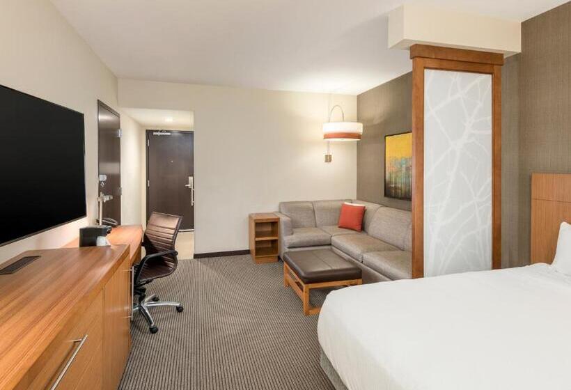 스탠다드 룸 킹사이즈 침대, Hyatt Place Greenville/downtown