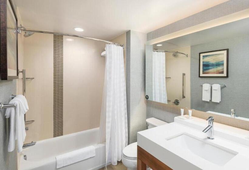 장애인을 위한 스탠다드 룸, Hyatt Place Greenville/downtown