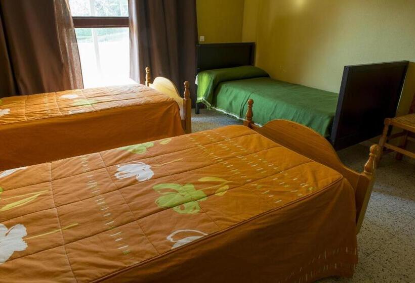 Номер Стандарт Трехместный, La Casona Del Pinar Albergue