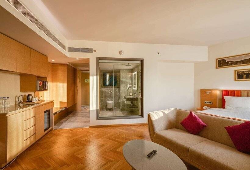 Номер Премиум, Novotel Vijayawada Varun