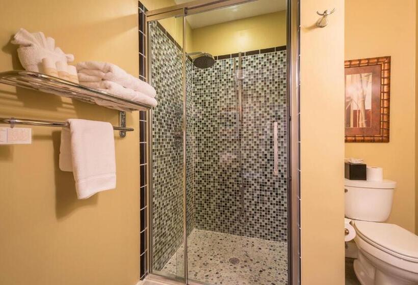 Стандартный Номер Кровать Кинг, Agustin Inn   Saint Augustine   Adults Only