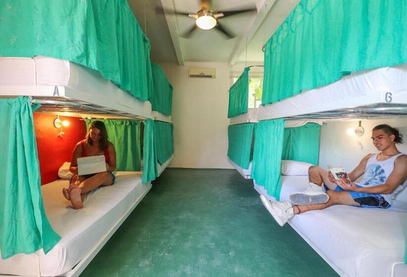 Geteiltes Mehrbettzimmer, Wabi Hostel