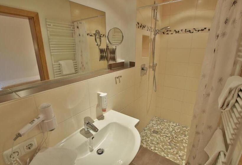 스탠다드 룸, Pension Schweizerhaus Garni