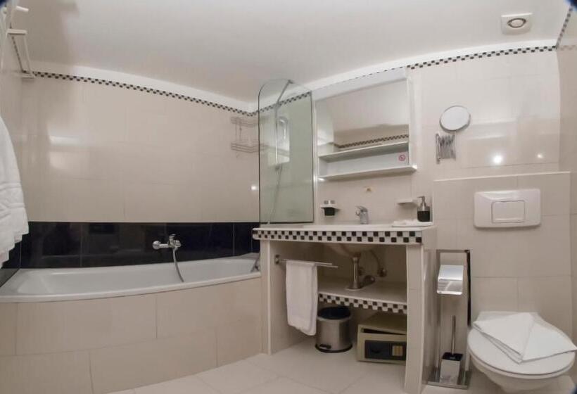 استودیوی لوکس, Appart'hôtel Residence Dizerens