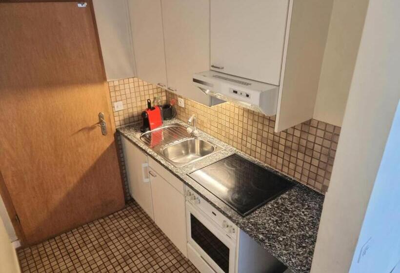 استودیوی لوکس, Appart'hôtel Residence Dizerens
