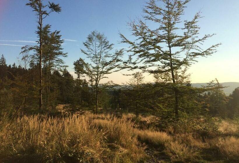 Номер Стандарт, Gasthof Waldschenke