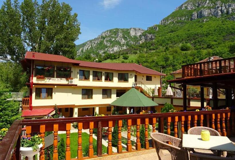 سوئیت 2 خوابه, Pension Cuibul Viselor