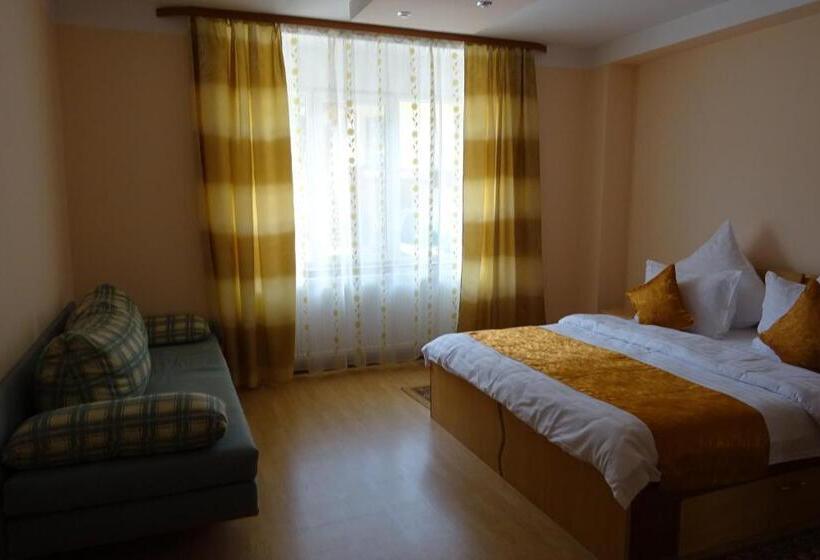 آپارتمان 3 خوابه, Pension Cuibul Viselor